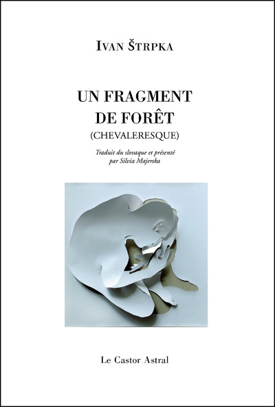Picture of Un fragment de forêt (chevaleresque)