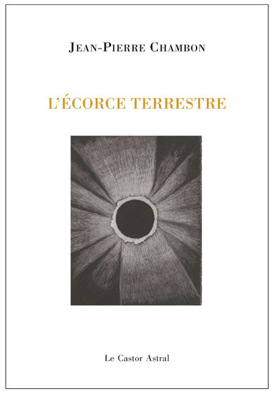 Picture of L'écorce terrestre