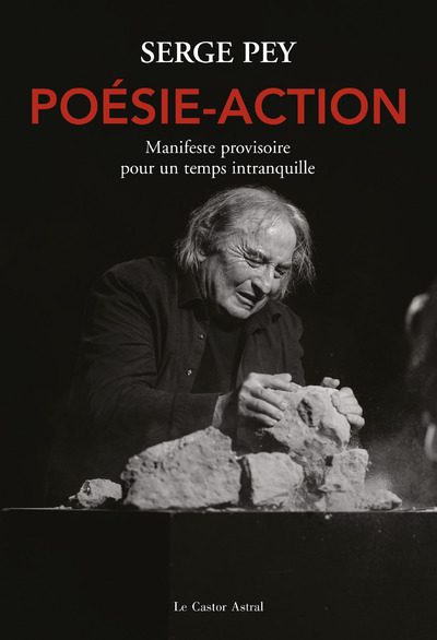 Picture of Poésie-action