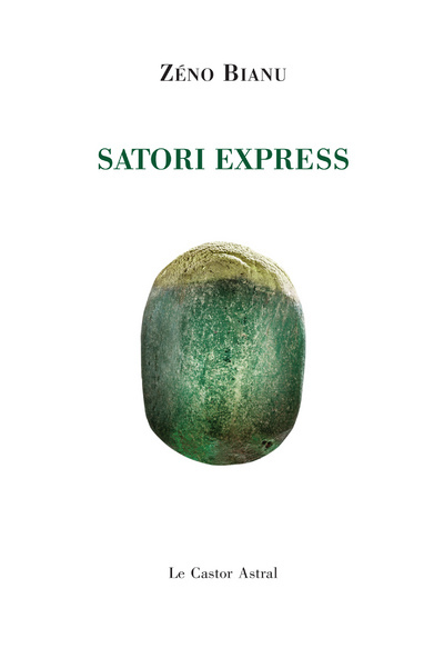 Picture of Satori Express