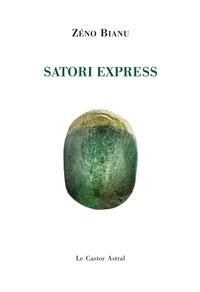 Picture of Satori Express
