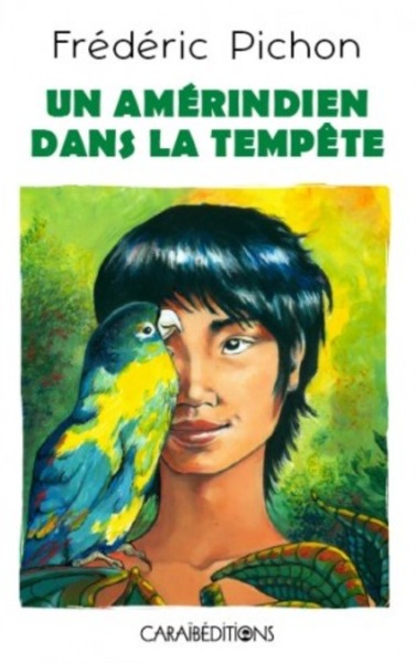 Picture of Un Amérindien dans la tempête