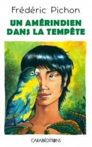 Picture of Un Amérindien dans la tempête