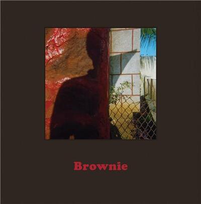 Picture of David Katzenstein : Brownie /anglais