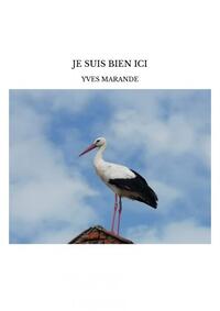 Image de JE SUIS BIEN ICI