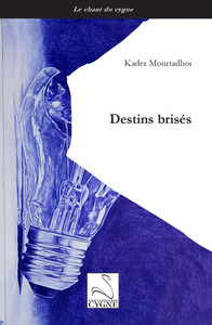Picture of Destins brisés