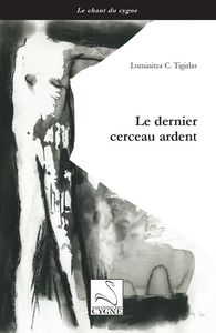 Picture of Le dernier cerceau ardent