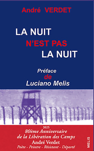 Picture of La nuit n'est pas la nuit
