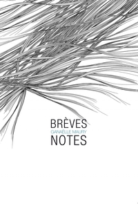 Image de Brèves notes