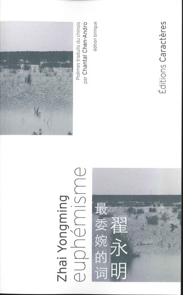 Picture of euphémisme