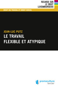 Picture of Le travail flexible et atypique