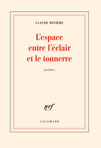 Picture of L'espace entre l'éclair et le tonnerre