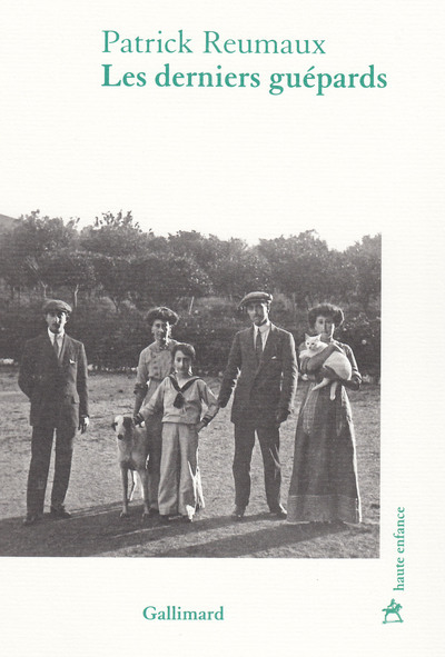 Image de Les derniers guépards