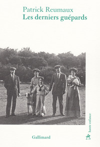 Image de Les derniers guépards