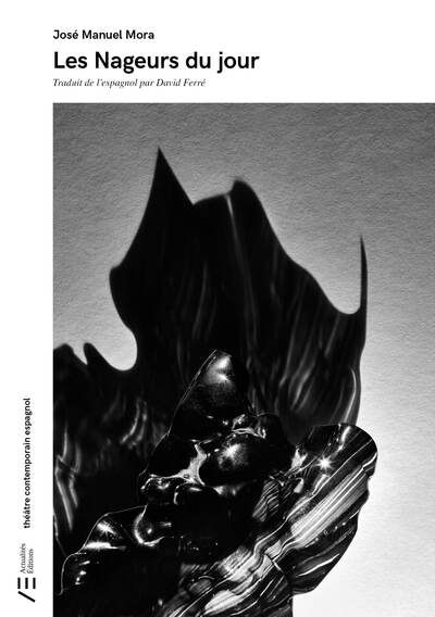 Picture of Les Nageurs du jour