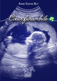 Picture of Coeur Funambule