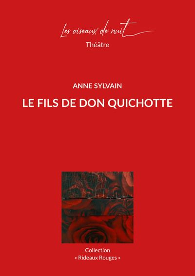 Image de Le fils de Don Quichotte
