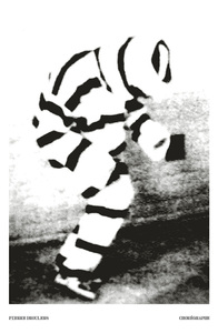 Picture of Sunday. Pierre Droulers chorégraphe