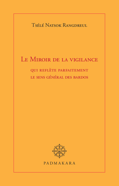Image de Le Miroir de la vigilance qui reflète parfaitement le sens général des bardos