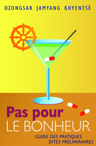 Image de PAS POUR LE BONHEUR GUIDE DES PRATIQUES DITES PRELIMINAIRES