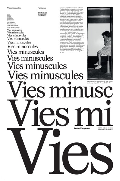 Image de Vies minuscules