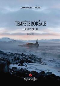 Image de Tempête boréale - Le crépuscule