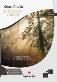 Image de Le faisceau céleste