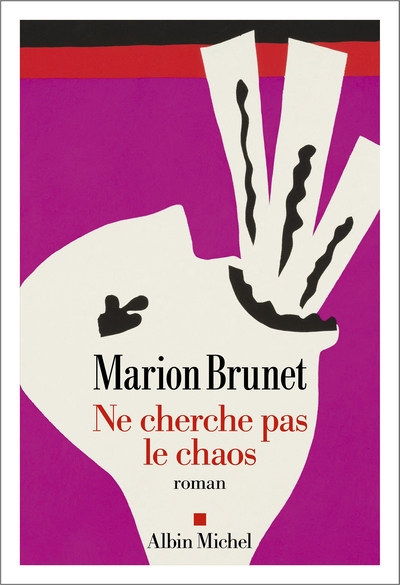 Image de Ne cherche pas le chaos