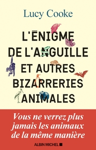 Picture of L'Enigme de l'anguille