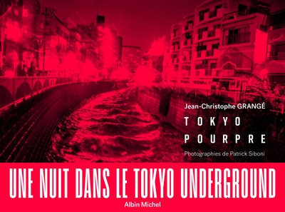 Picture of Tokyo pourpre