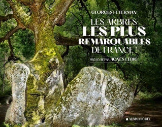 Picture of Les Arbres les plus remarquables de France