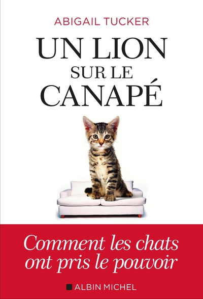Image de Un lion sur le canapé