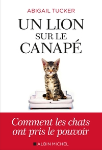 Image de Un lion sur le canapé