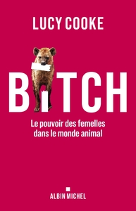 Image de Bitch
