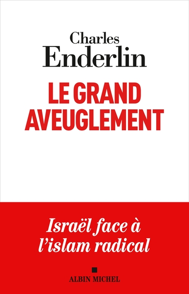 Image de Le Grand Aveuglement (édition 2024)