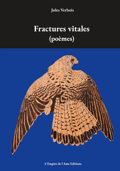 Image de Fractures vitales