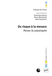Picture of Du risque à la menace