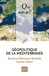 Picture of geopolitique de la mediterranee qsj 3975