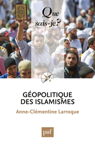 Picture of GEOPOLITIQUE DES ISLAMISMES QSJ 4014
