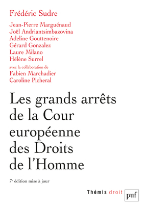Image de Les grands arrêts de la Cour européenne des droits de l'homme