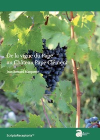 Picture of De la vigne du pape au château pape clément