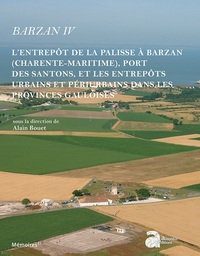 Picture of Barzan IV