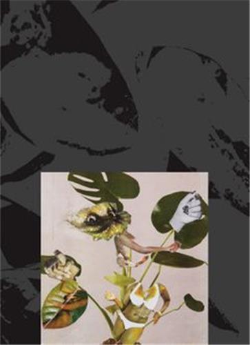 Picture of Kandis Williams : A Surface /anglais