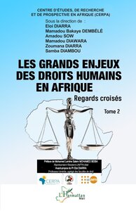 Picture of Les grands enjeux des droits humains en Afrique
