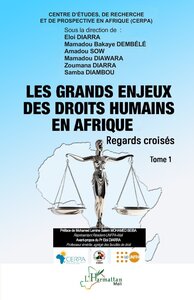 Picture of Les grands enjeux des droits humains en Afrique