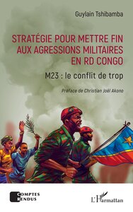 Image de Stratégie pour mettre fin aux agressions militaires en RD Congo
