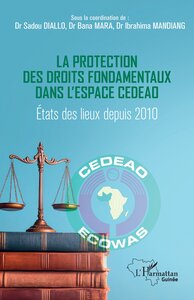Image de La protection des droits fondamentaux dans l'espace CEDEAO