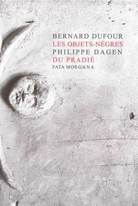 Image de Les objets-nègres du Pradié