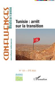 Image de Tunisie : arrêt sur la transition