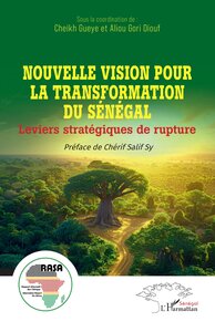 Image de Nouvelle vision pour la transformation du Sénégal